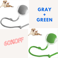 GREEM+GRAY