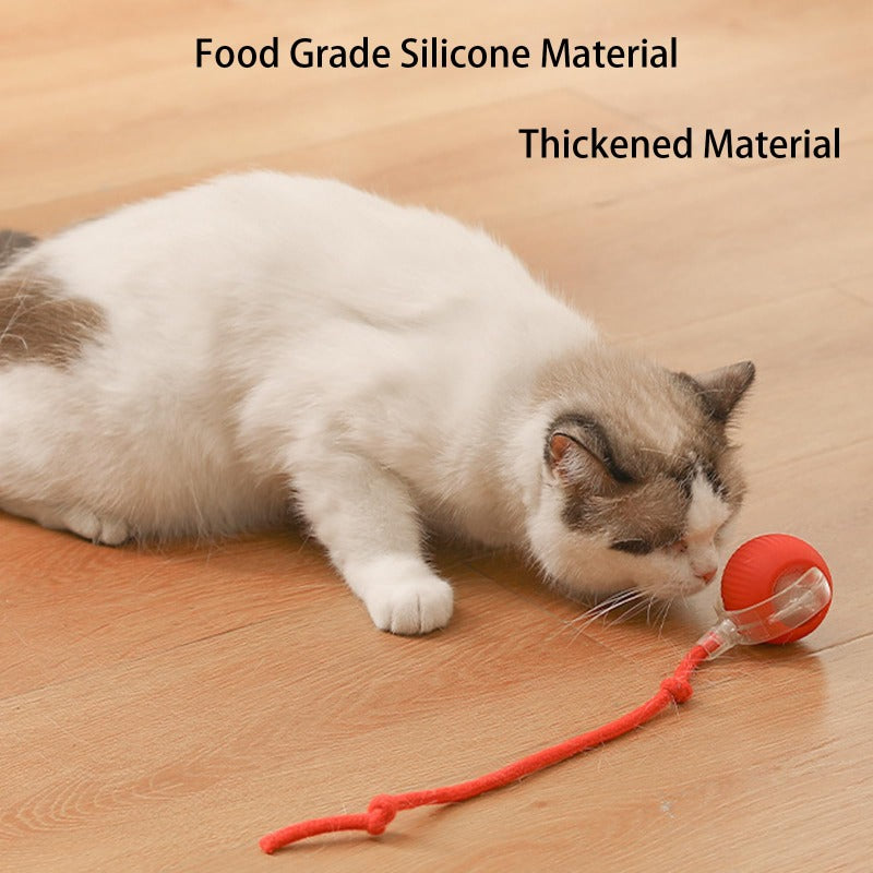 Automatic cat ball🌟Free your hands