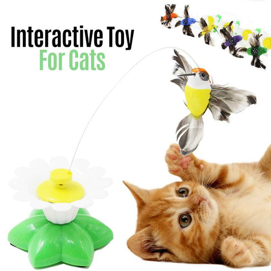 Auto Rotating Cat Teaser 🦋Butterfly & Bird🦜