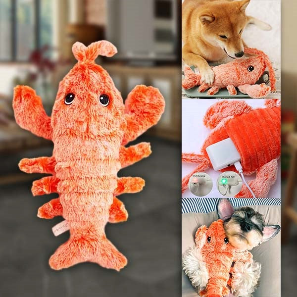 Interactive Lobster Play Toy for Pets 🦞🐾