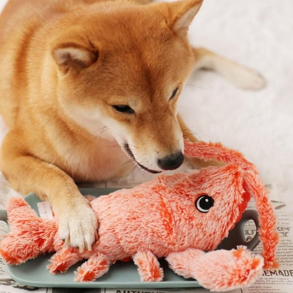 Interactive Lobster Play Toy for Pets 🦞🐾